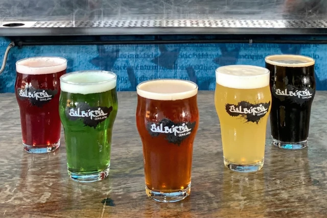 Cerveja artesanal de diversos estilos. Cerveja Witbier, Pilsner, Lager, India Pale Ale, Stout