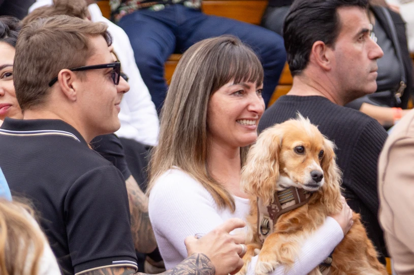 bar pet friendly em Itajaí